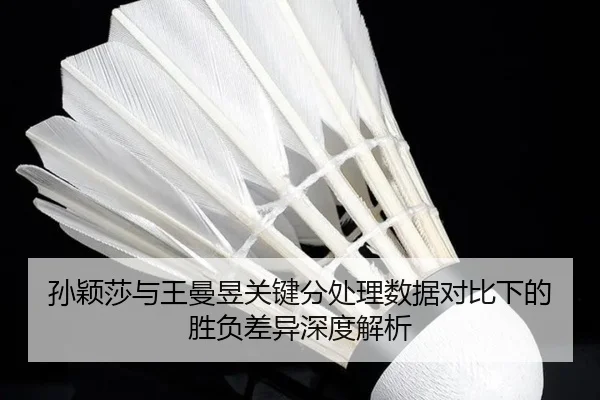 孙颖莎与王曼昱关键分处理数据对比下的胜负差异深度解析